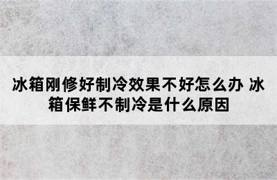 冰箱刚修好制冷效果不好怎么办 冰箱保鲜不制冷是什么原因